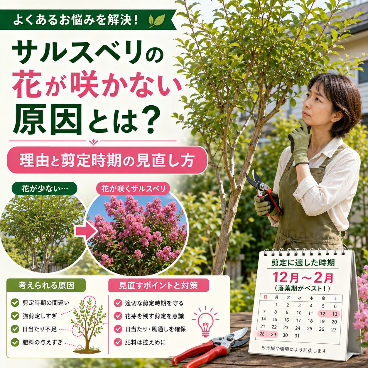 良かれと思った水やりで枯れる?サボテンの正しい頻度と失敗ゼロの極意